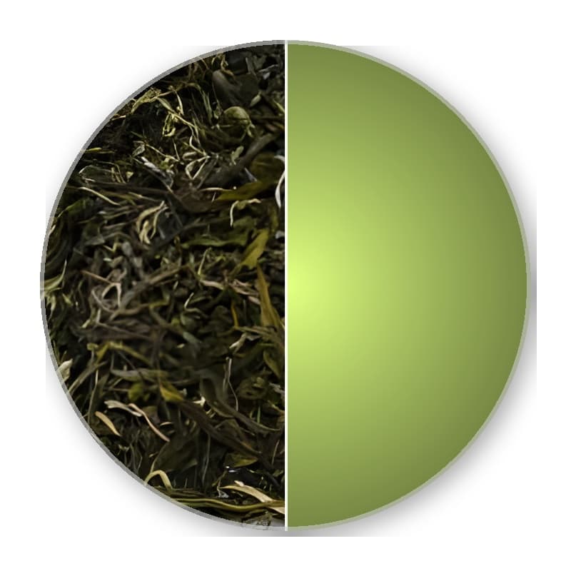 China Guangxi LIN YUN WHITE DOWNY Special Green Tea —