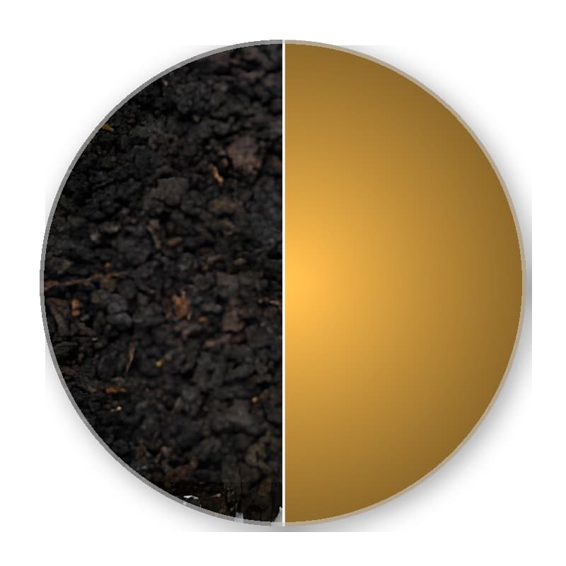 Formosa Nantou KING PEACH JIN XUAN Superior Oolong 50g —