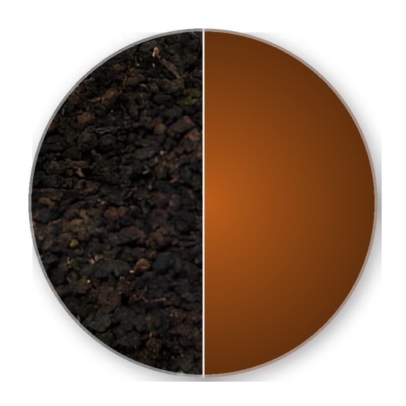 Formosa Winter Special GABA JIN XUAN Superior Oolong 50g —