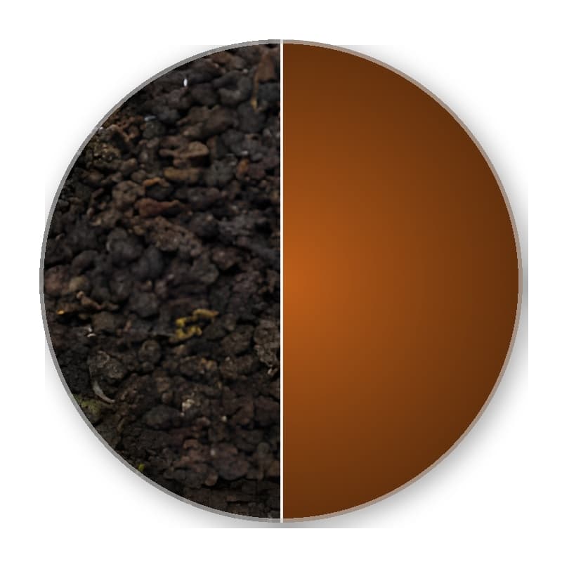 Formosa Winter Special Yunlin JIA YE - GABA CHIN XIN Imperial Oolong 50g —