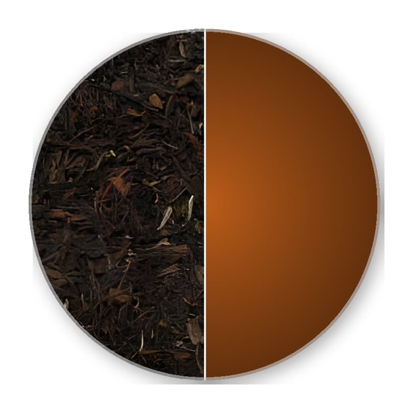 Darjeeling sf FTGFOP 1 SUNGMA DJ104/2025 —