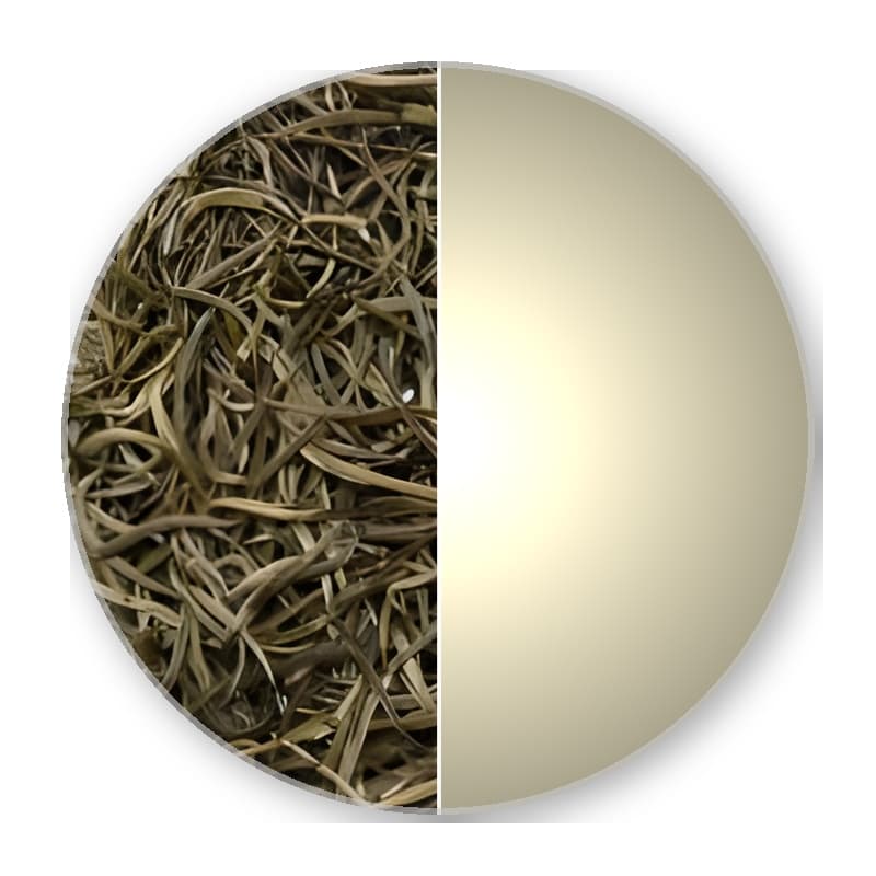 Assam GINGIA SILVER TIPS Top Superior White Tea —