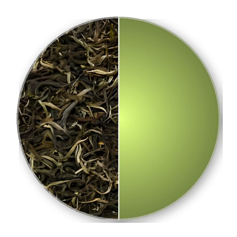 China Yunnan LINCANG MAO FENG Special Green Tea —