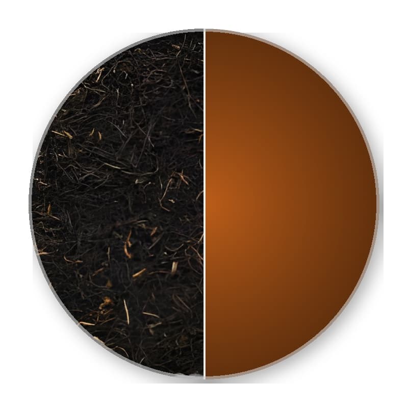 Assam SFTGFOP 1 HAJUA Tippy Special —
