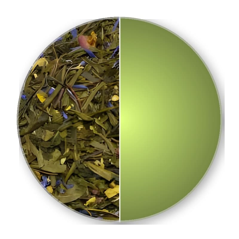 China SENCHA - MORNINGFLAVOUR —