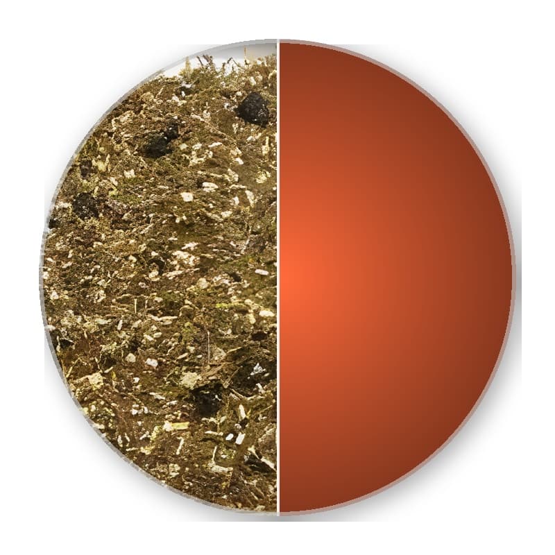 ROOIBOS Green RED FRUITS —