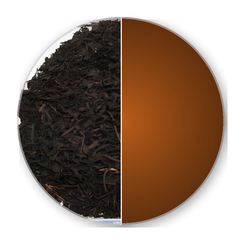 China Zhejiang TARRY LAPSANG SOUCHONG —