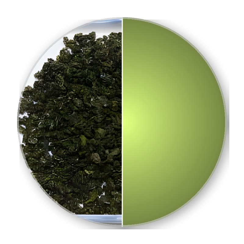 China Anhui YONG XI HUO QING Superior Green Tea —