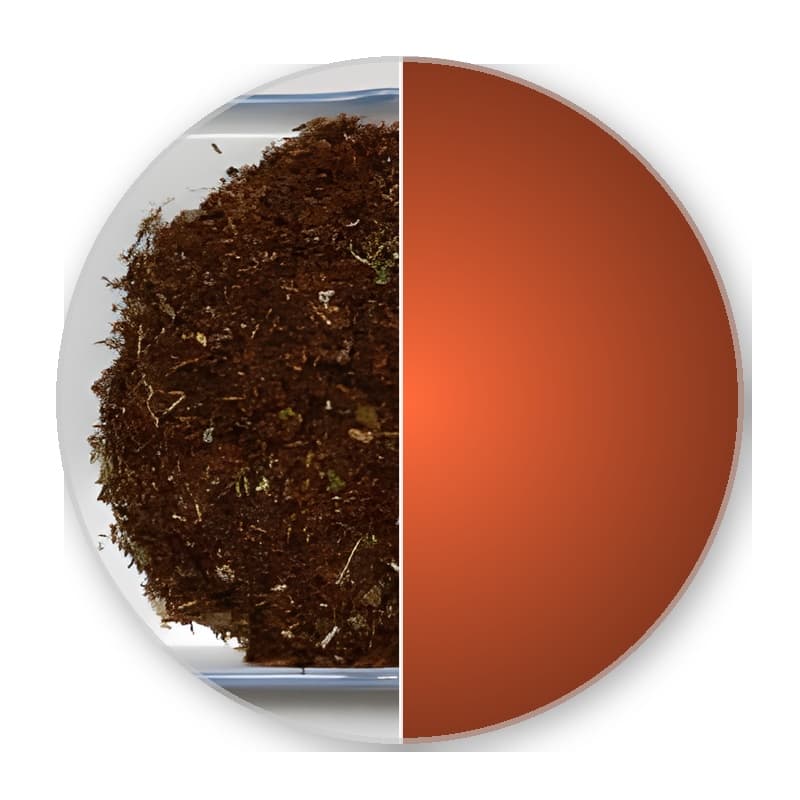 ROOIBOS STRAWBERRY CREAM —