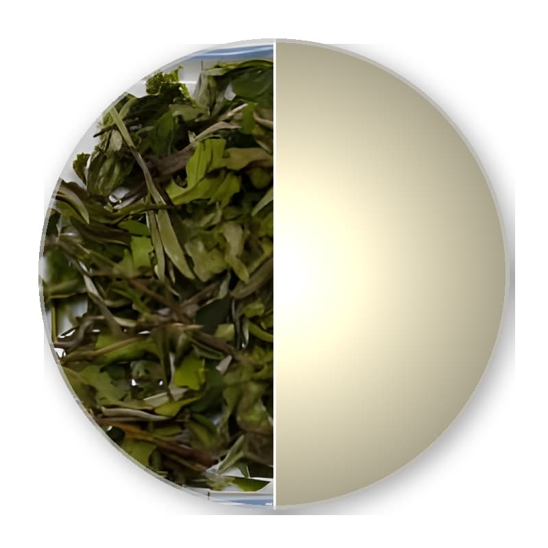 China Fujian Fuding PAI MU TAN Std.6901 —