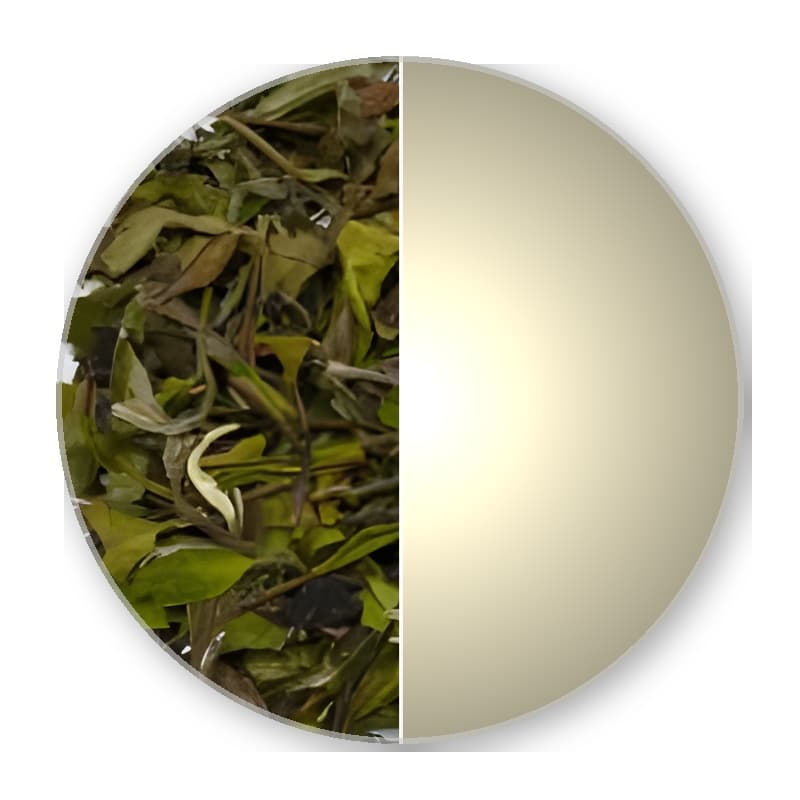 China Fujian Fuding PAI MU TAN Std.6900 —