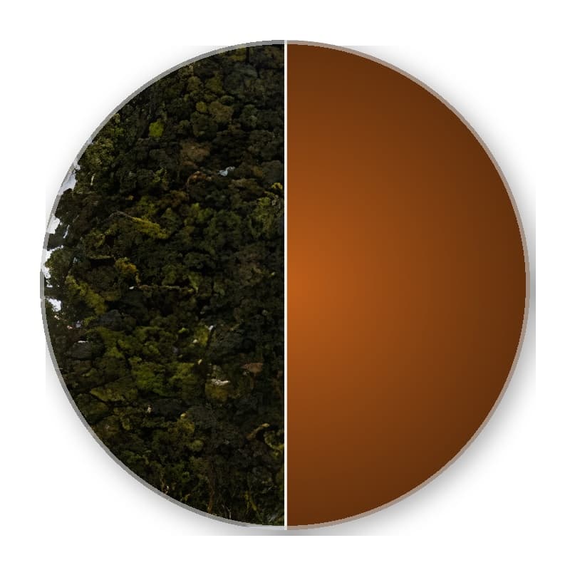 Formosa Spring FOUR SEASONS Special Oolong 50g —