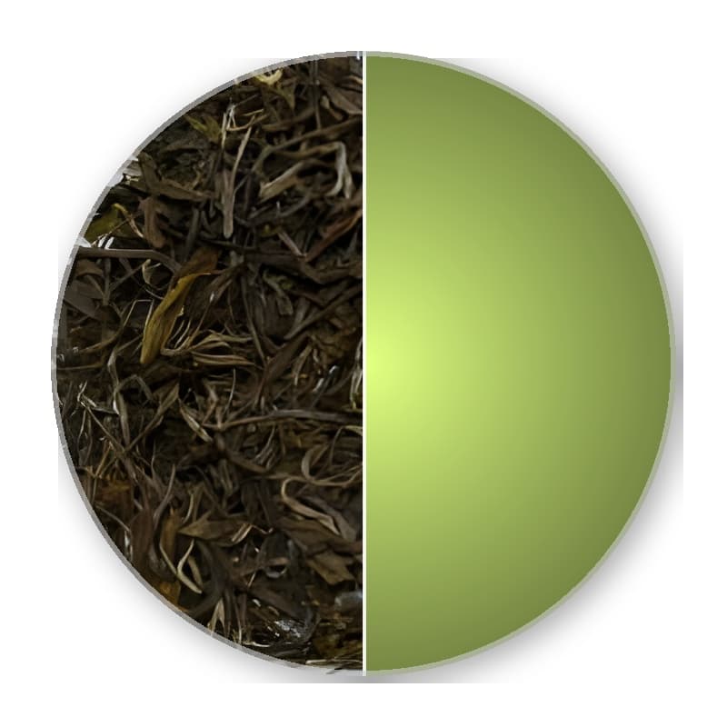 China Hunan GAO SHAN SNOW DRAGON Green Tea —