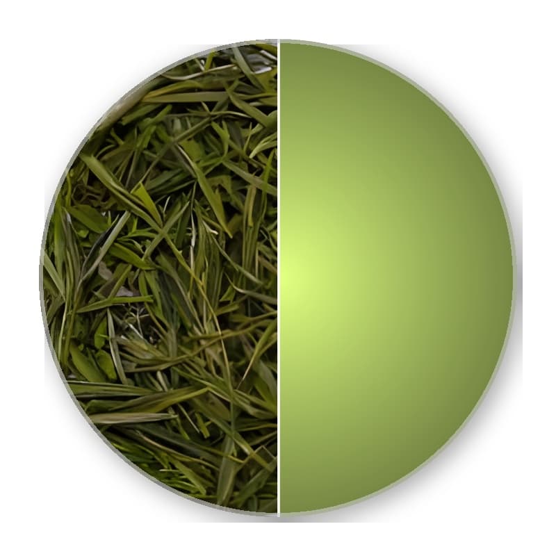 China Anhui HUANG SHAN MAO FENG Superior Green Tea —
