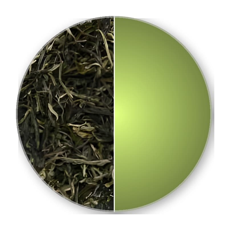 China Guangxi WHITE MONKEY Special Green Tea —