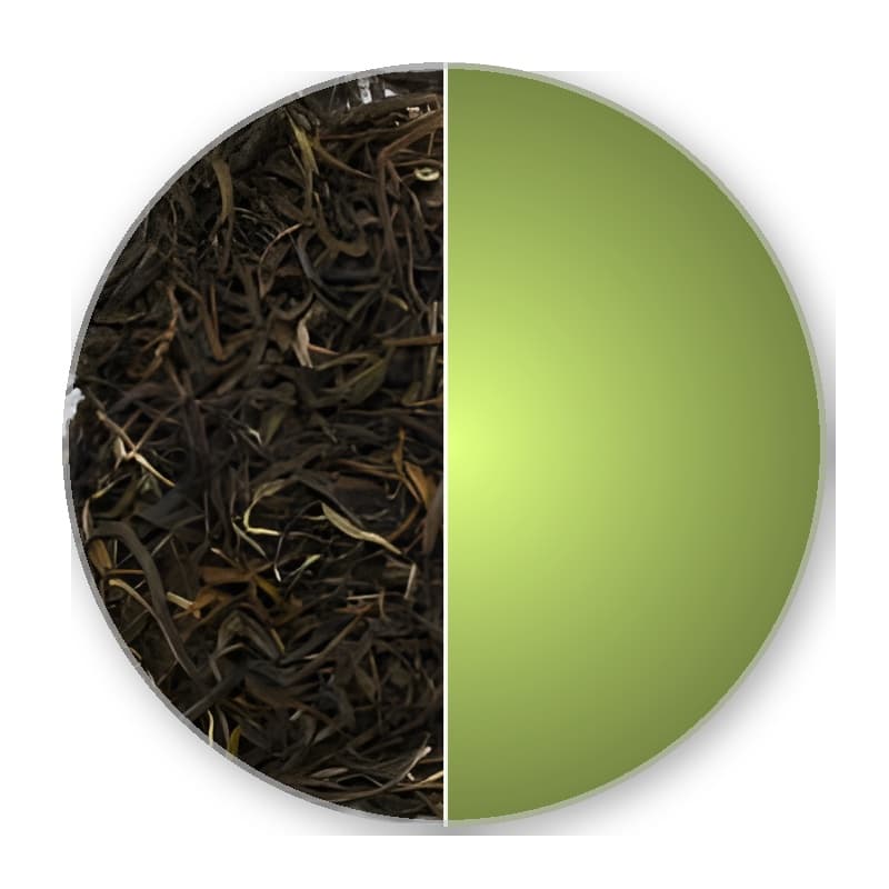 China Fujian Jasmin YIN HAO Std.FS-901 —