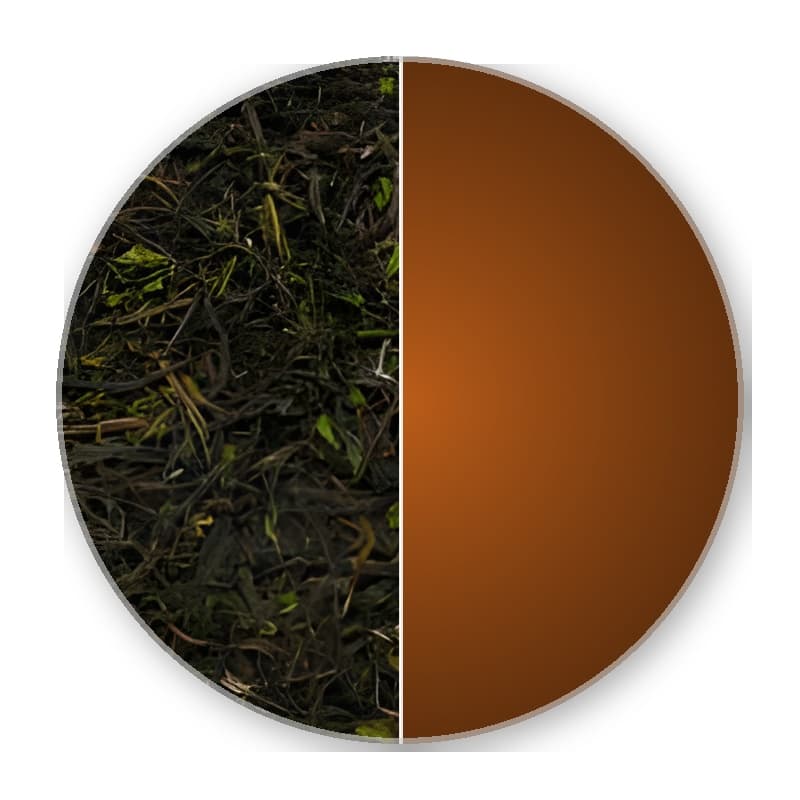 Darjeeling ff FTGFOP 1 PUTTABONG DJ 42/2025 —