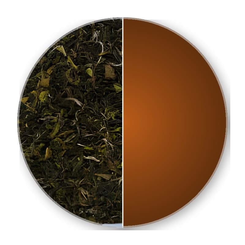 Nepal ff SFTGFOP 1 KUWAPANI TIPPY HB10/2025 Superior Black Tea —