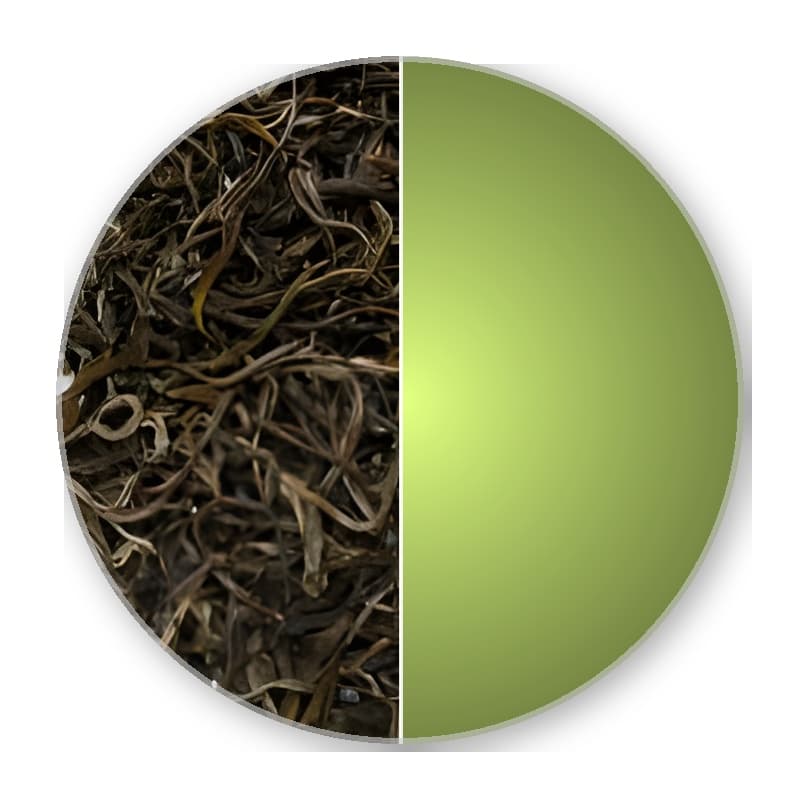 China Hunan JUN SHAN HUANG XIAO CHA Superior Yellow Tea —