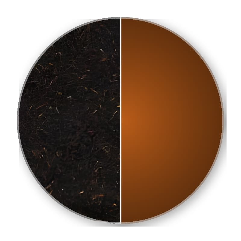 Ceylon Nuwara Eliya BOP HIGH FOREST —
