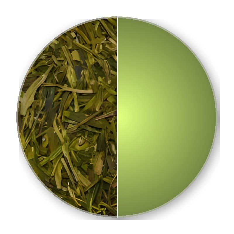 China Zhejiang Lin An LUNG CHING Green Tea —