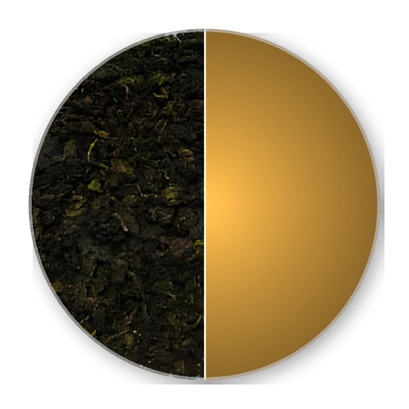 China Fujian Anxi TIE GUANYIN MONKEY PICK Oolong —