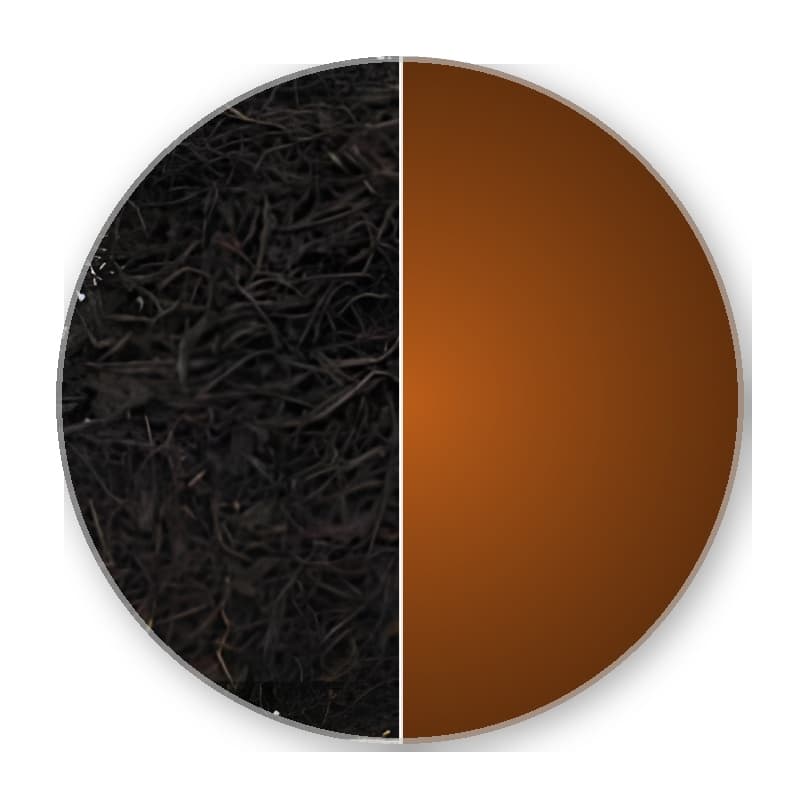 China Fujian Wuyi BOHEA LAPSANG Superior Black Tea —