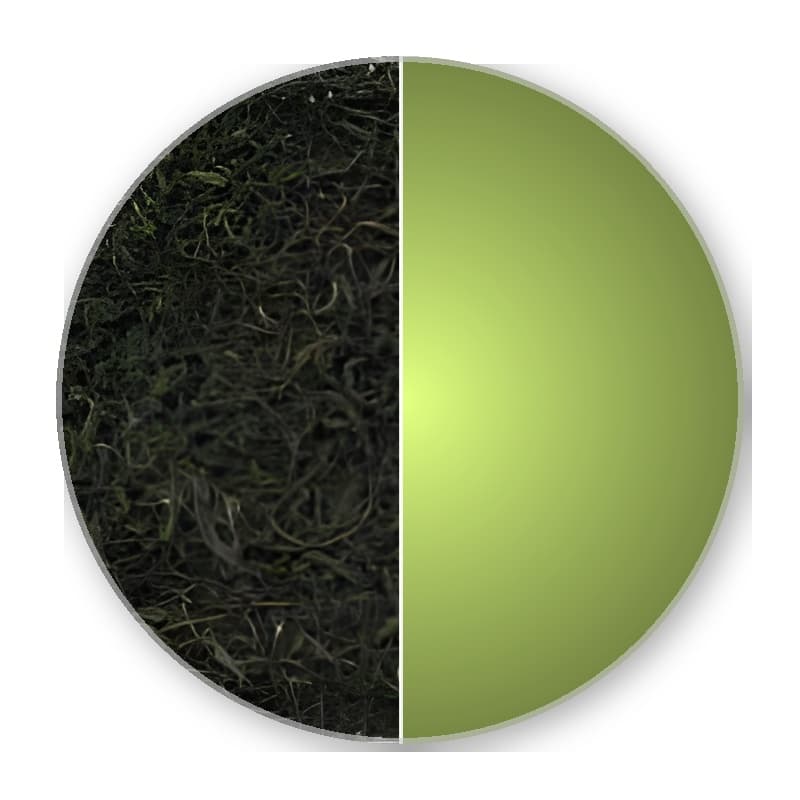 China Hunan GU ZHANG MAO JIAN Superior Green Tea —