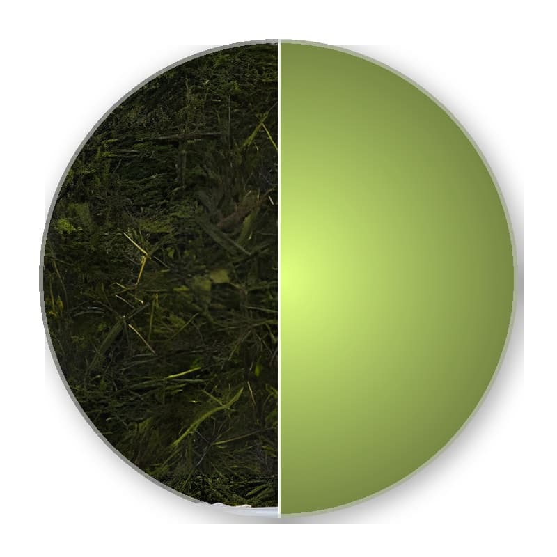 Japan Shizuoka Tenryu PREMIUM BANCHA Green Tea —