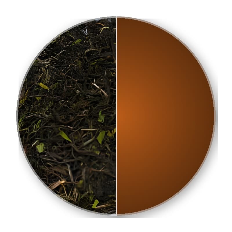 Darjeeling ff FTGFOP HIMALAYAN SPRING —